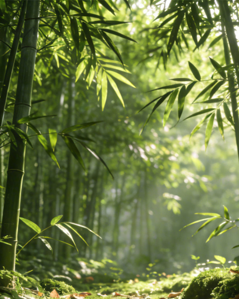 Breathable hybrid mattress designed for fresh and comfortable sleep